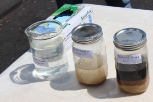 The contaminant cleanup is evident from right to left, demonstrating the different stages of the process.
